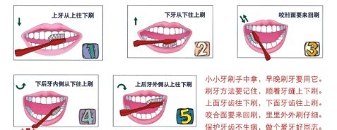 如何才能刷好牙