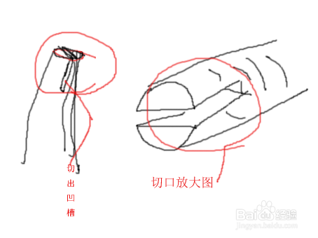 怎样进行嫁接法的枝接