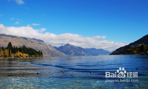 跟随微博女主玩转新西兰皇后镇