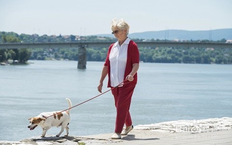 散步的学问有哪些？