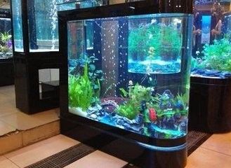怎么调节海水缸中的盐度 百度经验
