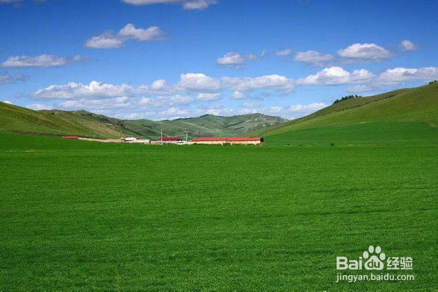 在旅游中有哪些需要改进的