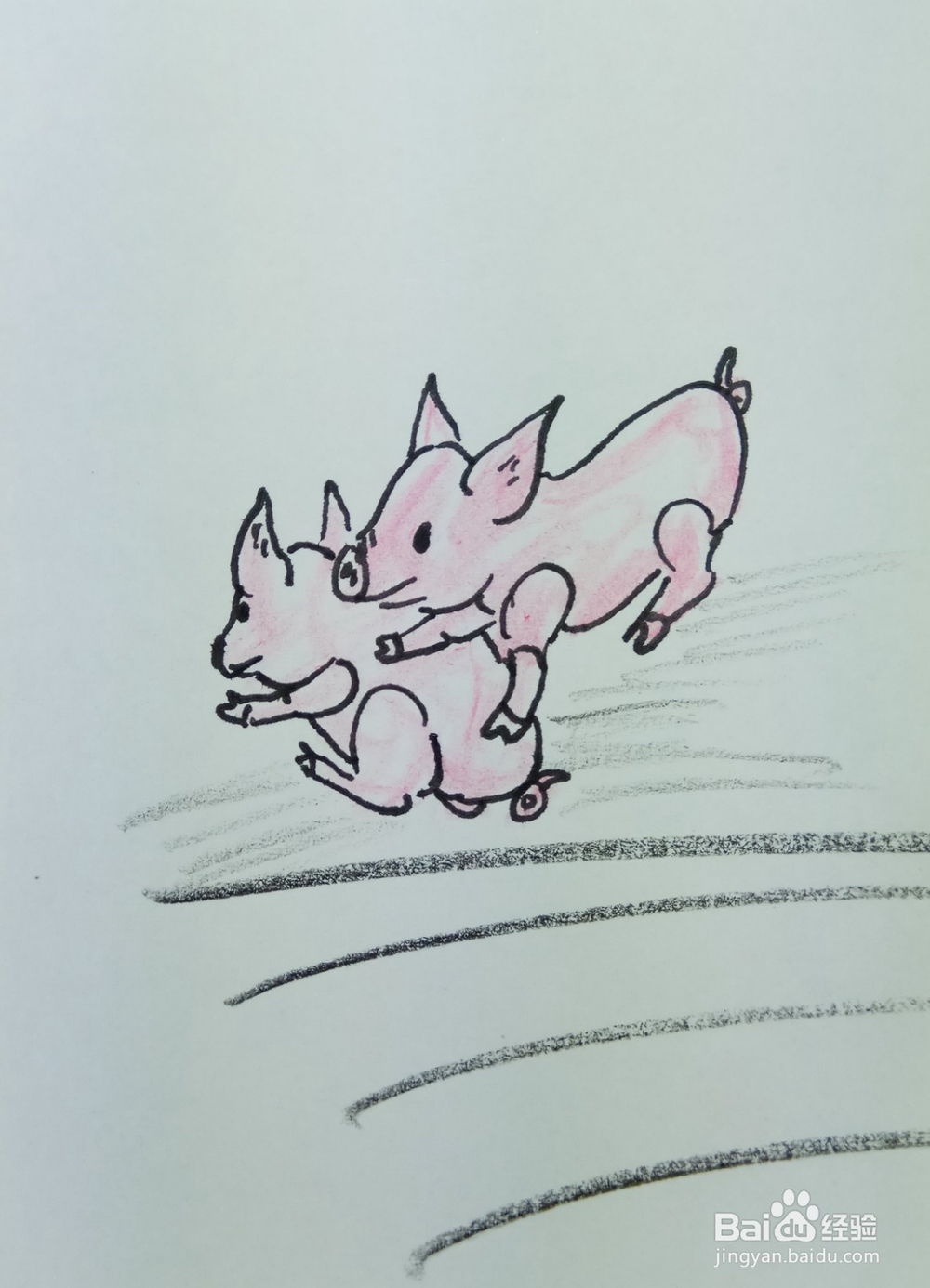 怎样画简笔画“爱嬉戏玩耍的小猪”