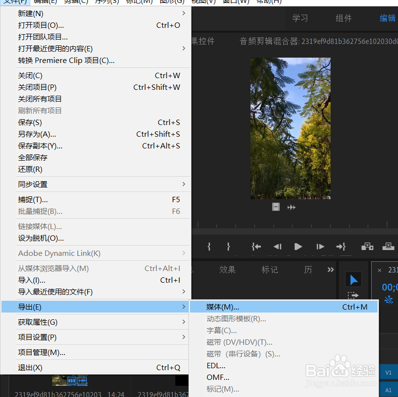 pr中如何把视频黑边去掉