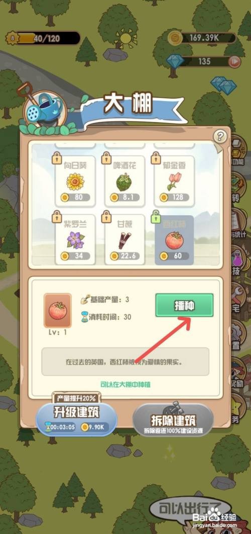 【花语农场】在大棚区域种植西红柿的攻略
