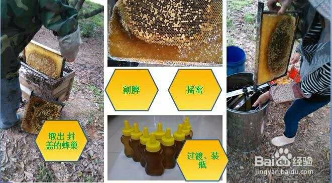 如何买到纯正蜂蜜