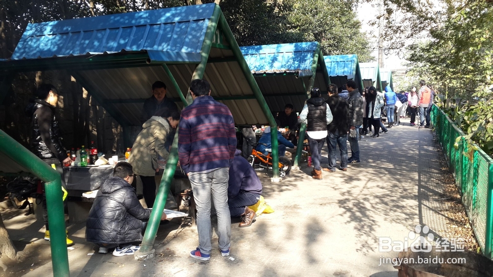 共青森林公园烧烤最全攻略