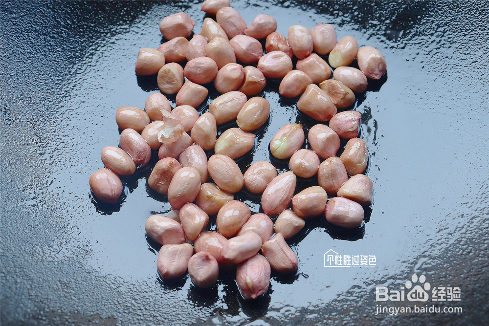 不能拒绝的花生苦菊