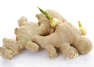 哪些植物发芽后能吃哪些不能吃