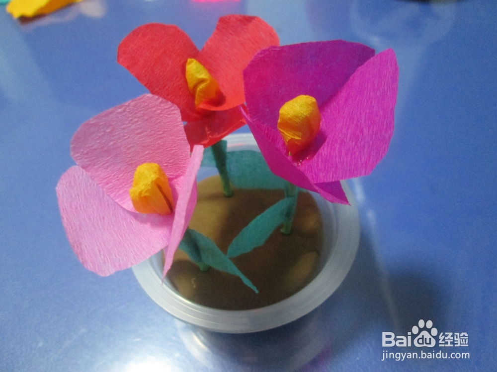 果冻盒子制作漂亮的小盆栽