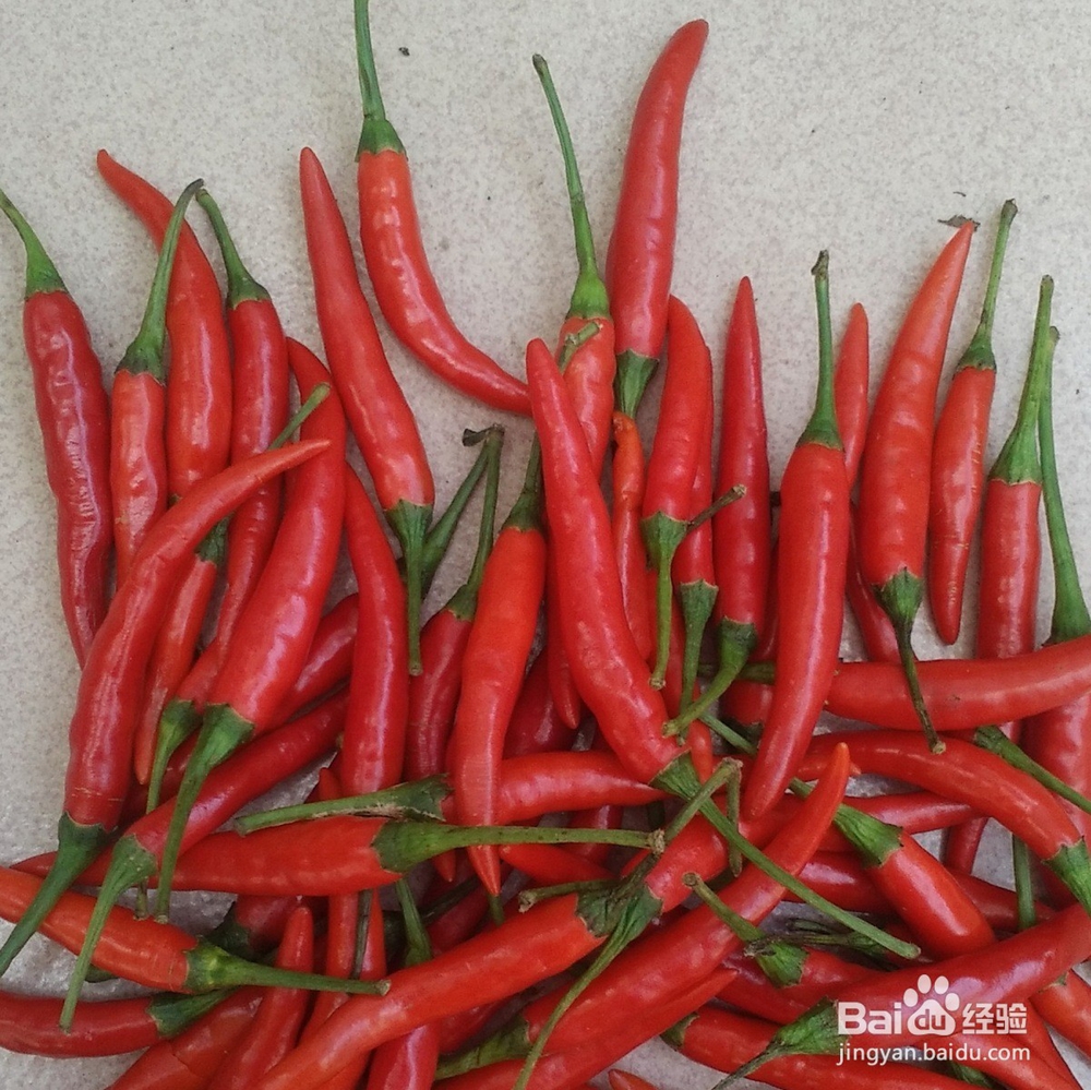 胃不好的人日常饮食怎么吃