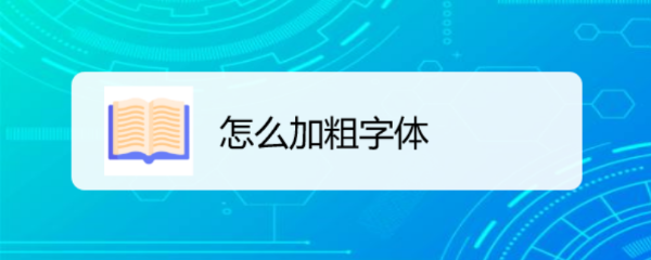怎么加粗字体