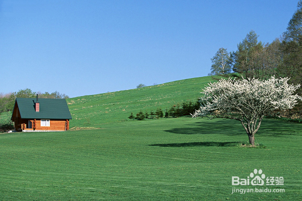 失眠听什么音乐？