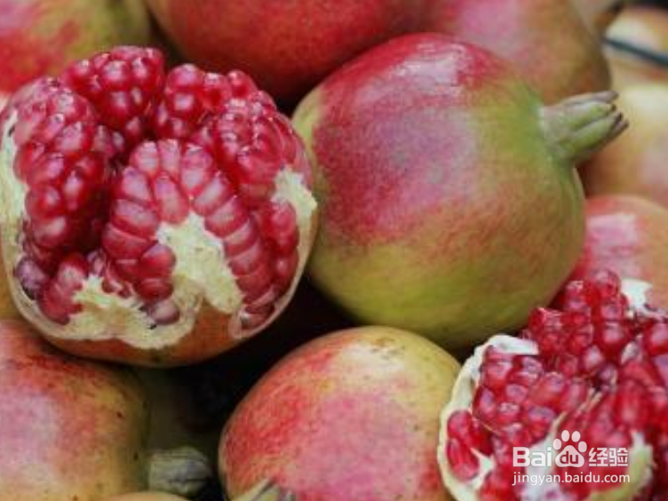 影响石榴开花结果的原因有哪些