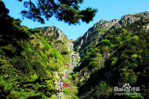 泰山游四大登顶线路推荐