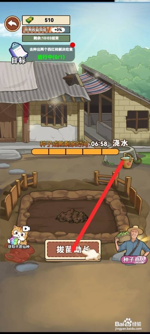 我的乡村生活种植银西红柿如何操作