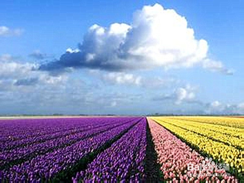 炒股时如何克服贪婪与恐惧