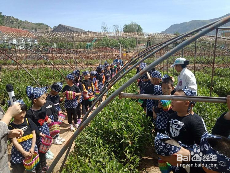济南将军山马套村一日游攻略