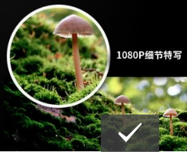 智能家用投影仪什么牌子好