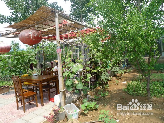 端午假期第二天