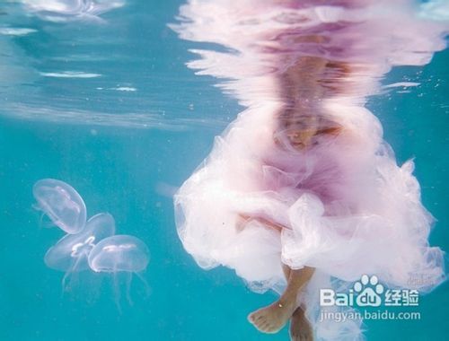 马尔代夫浮潜及水下摄影注意事项