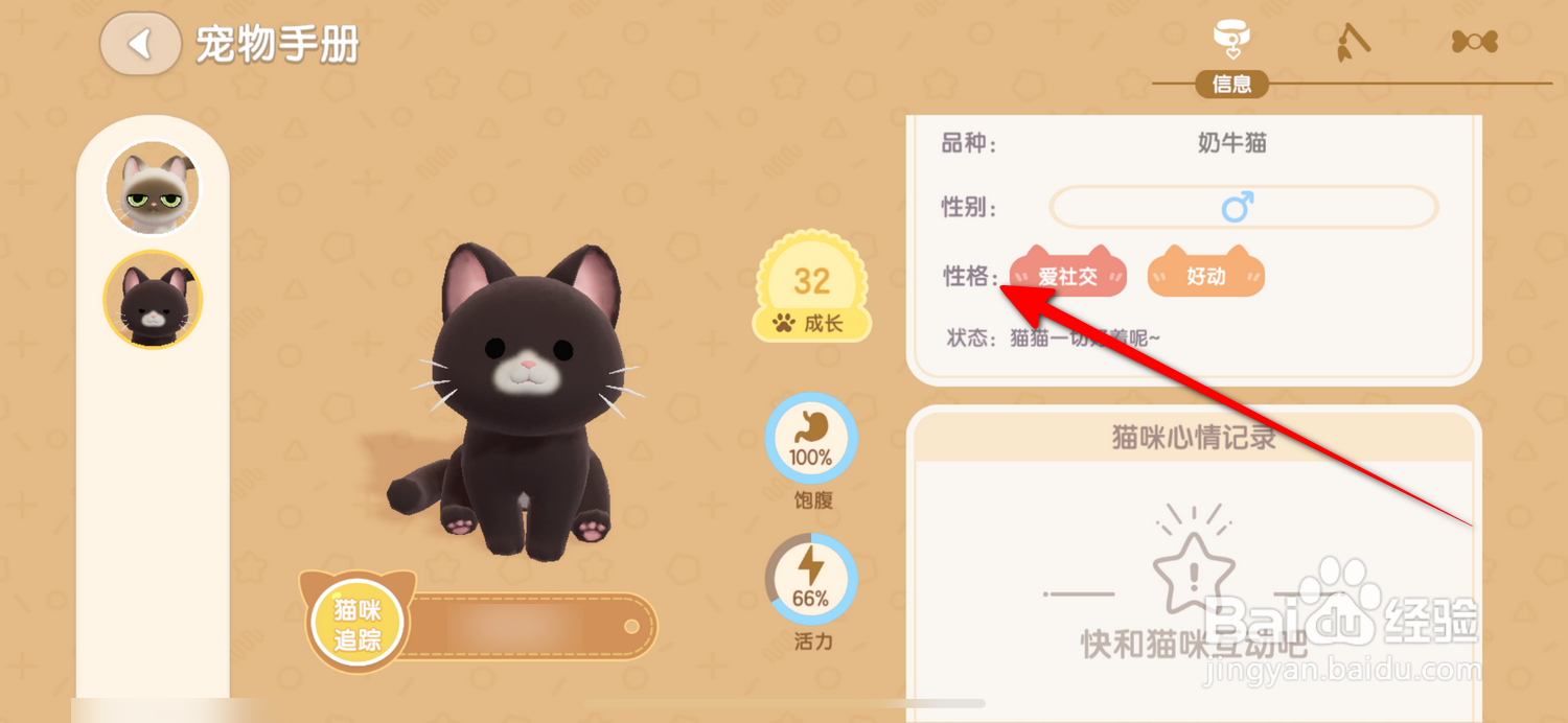 心动小镇怎么查看宠物性格