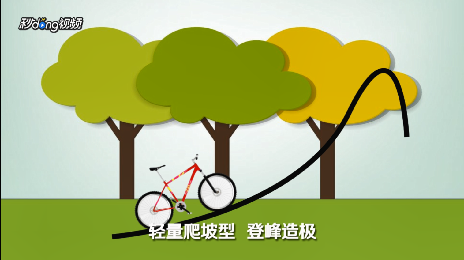 公路自行车的三大车系有哪些