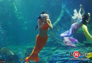 武汉东湖海洋世界