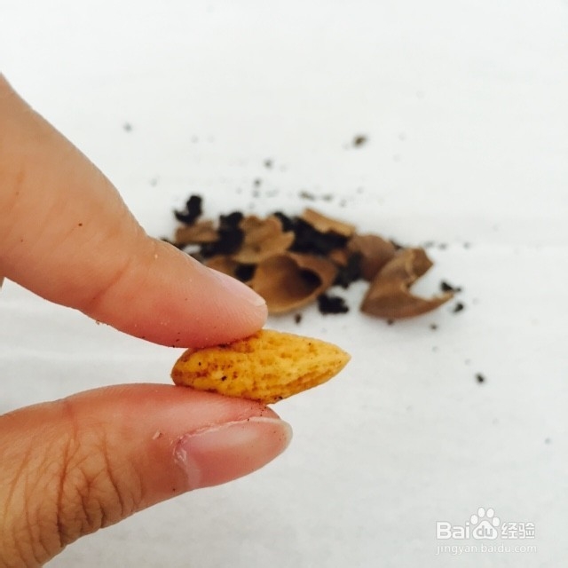 如何巧妙轻松地剥炒香榧?