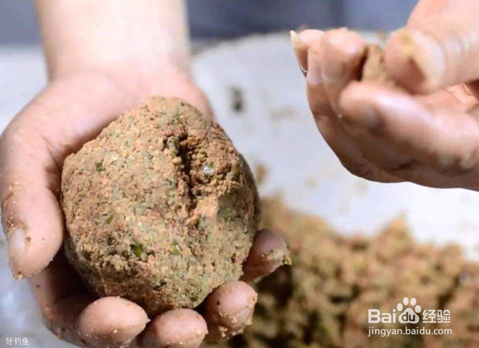 分享拉饵的开饵及拉饵制作技巧