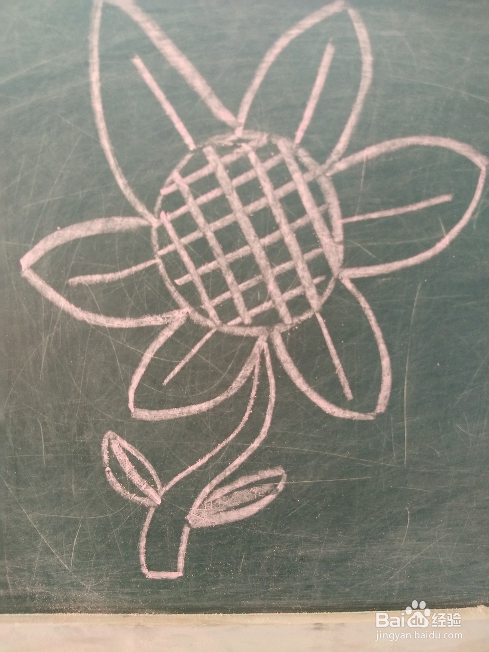 幼儿简笔画“向日葵”