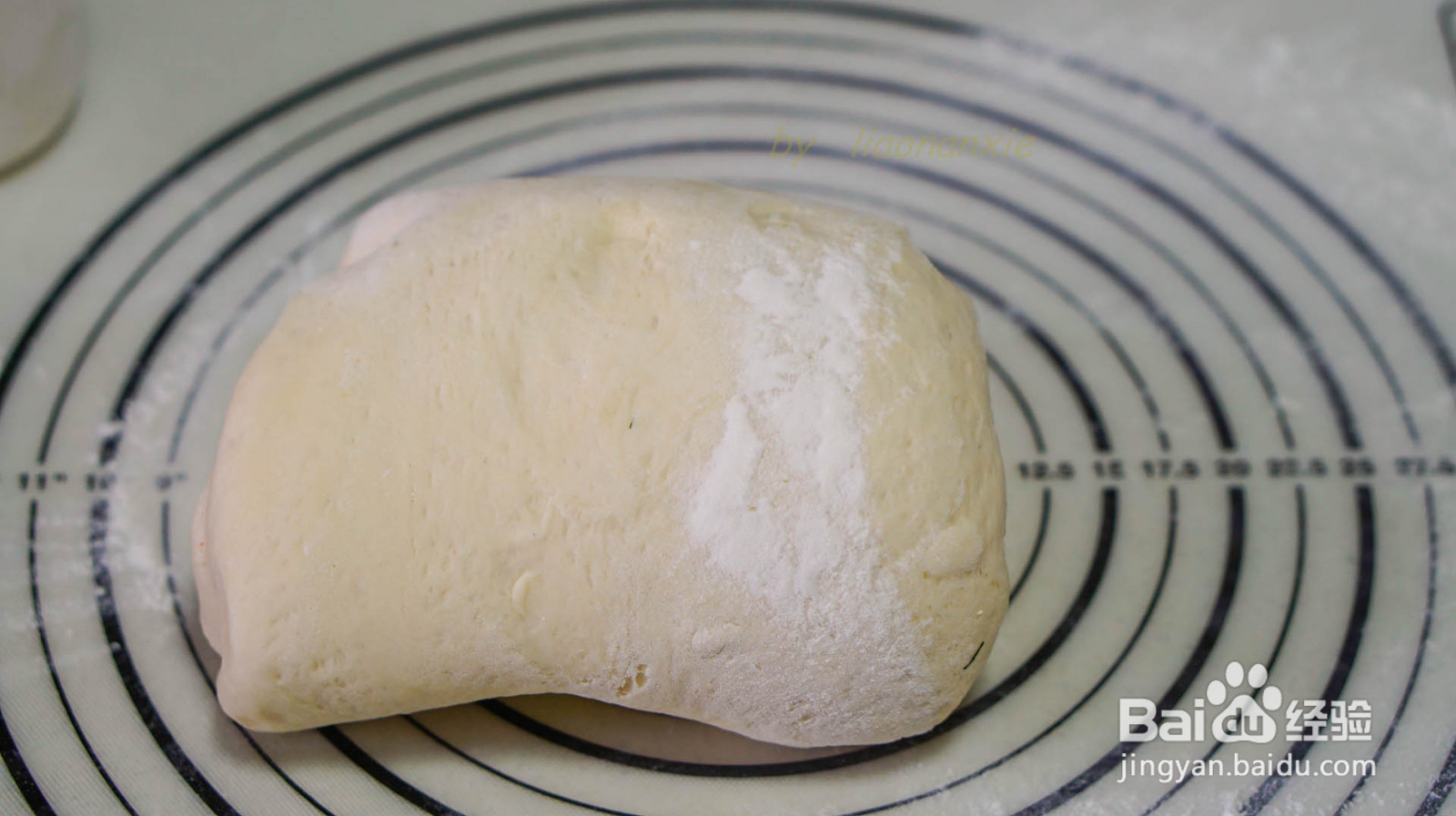 野菜鲜肉包子的做法