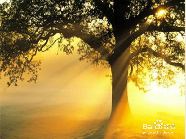 在大学里怎样不空虚迷茫?