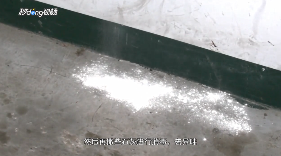 怎样消除千足虫