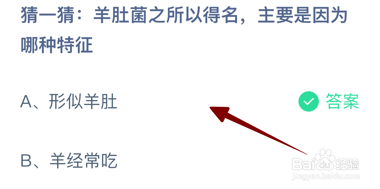 蚂蚁庄园2024.10.2：羊肚菌之所以得名是因为