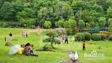 青岛民俗村藏马荘