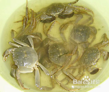 螃蟹要怎么清洗