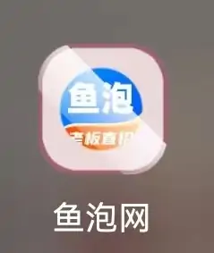 鱼泡网查看积分记录