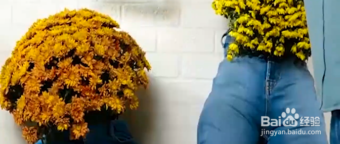 教你几个实用的小妙招。