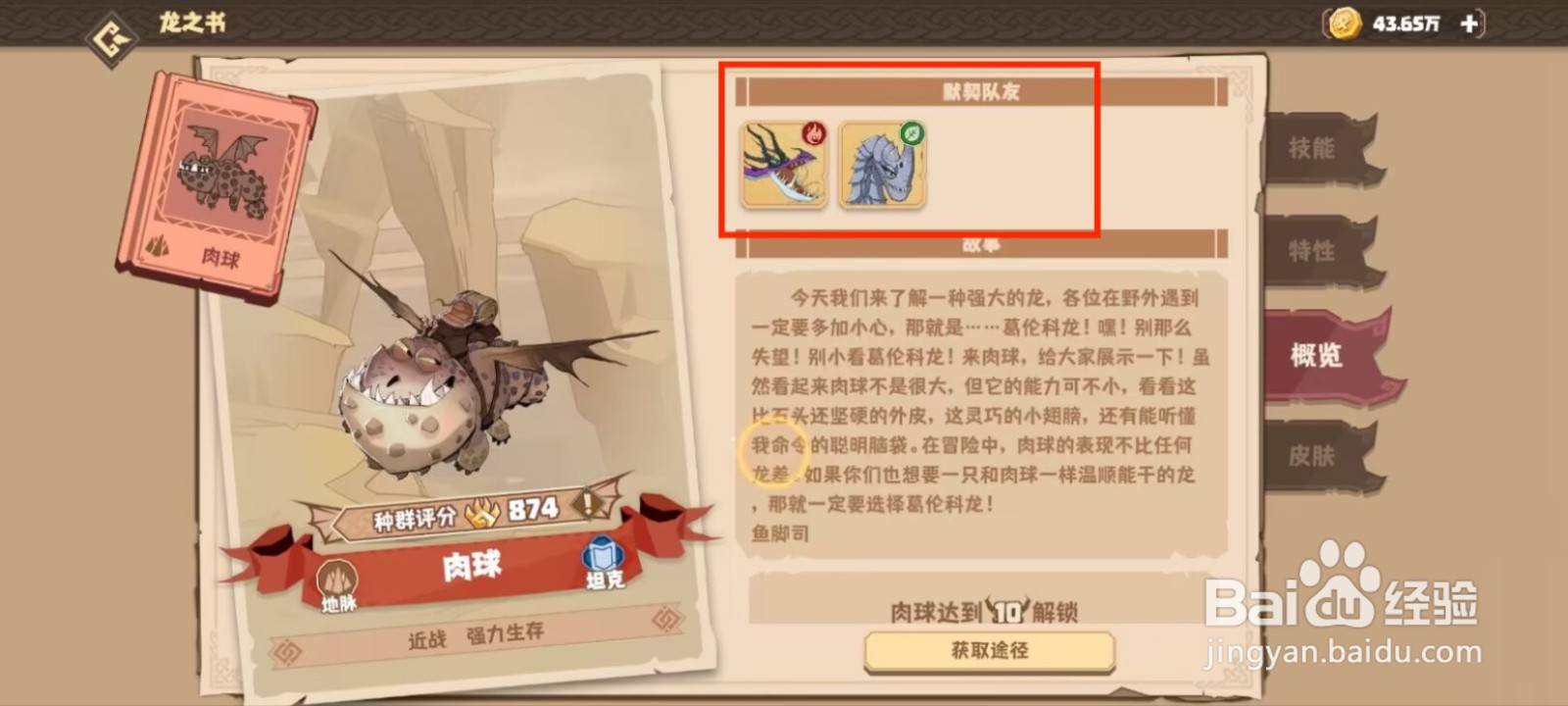 驯龙高手旅程在哪儿查看肉球的默契队友?