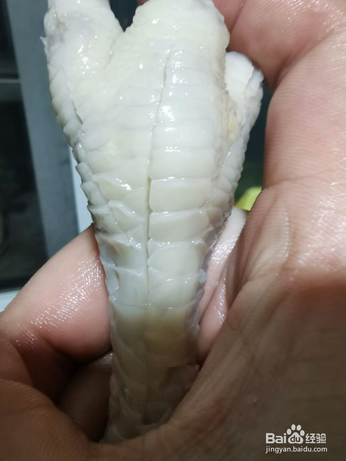 酸辣无骨凤爪的做法