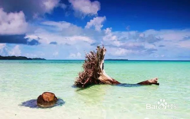 十一免签的高性价比海岛——帕劳旅游攻略