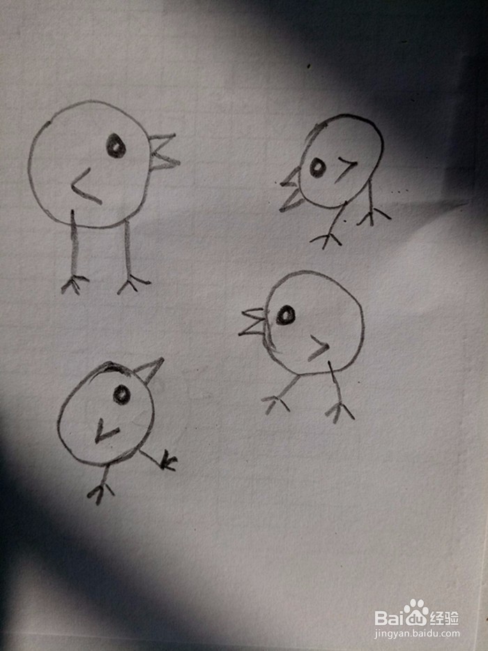 小鸡的简笔画