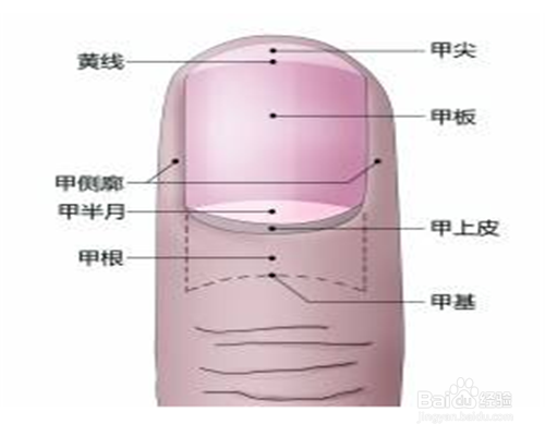 如何去判断自己气血充足