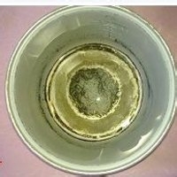 自己做蛋糕 用电饭锅DIY蛋糕的详细步骤