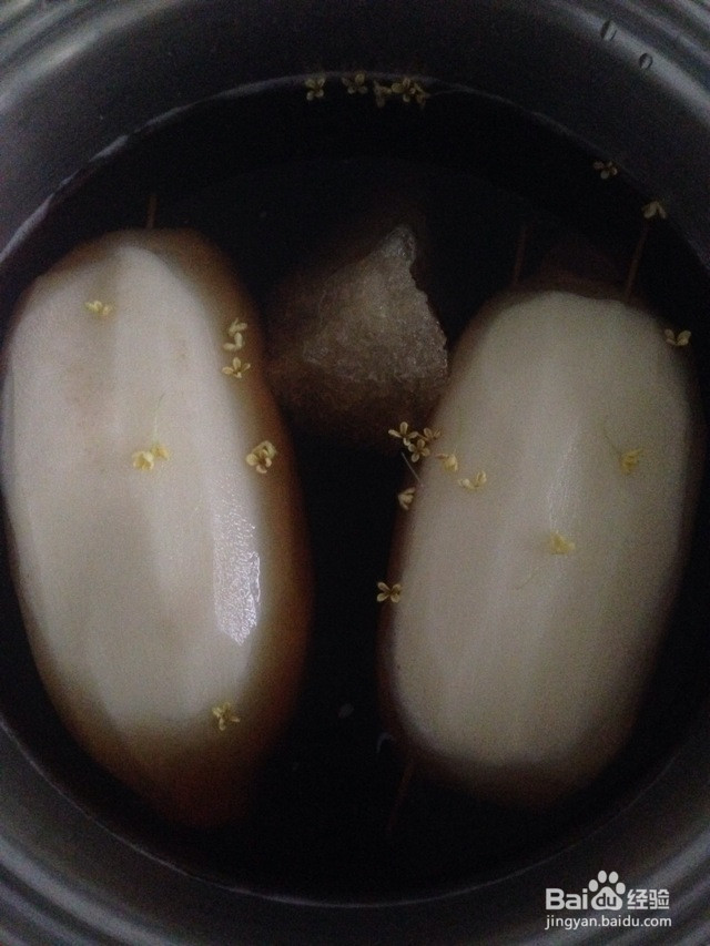 桂香甜糯藕的做法