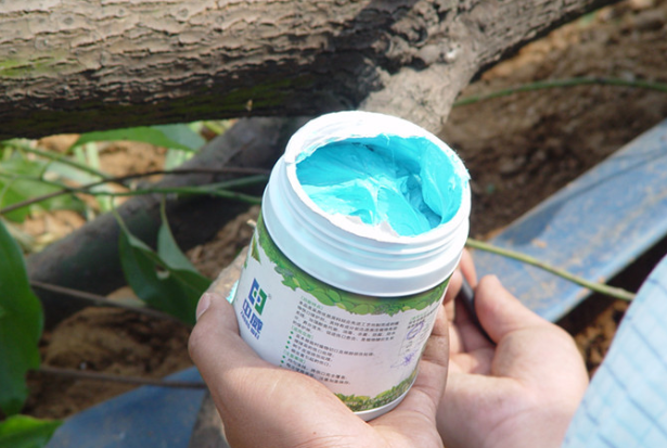 树木伤口愈合剂用什么可以代替