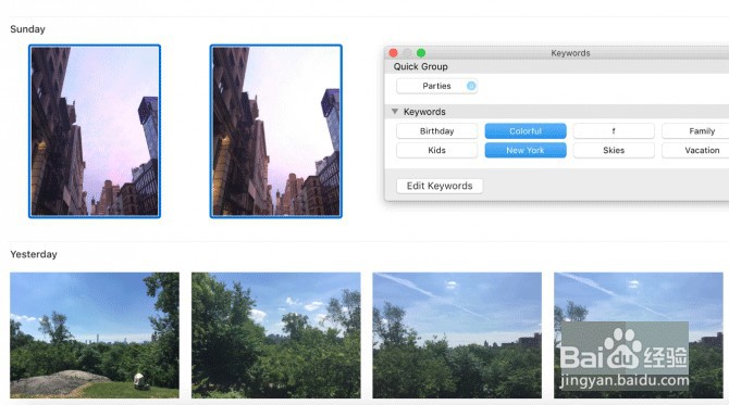 Apple Photos如何添加和编辑关键字?