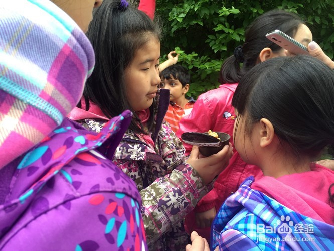 温哥华自然公园学校郊游活动