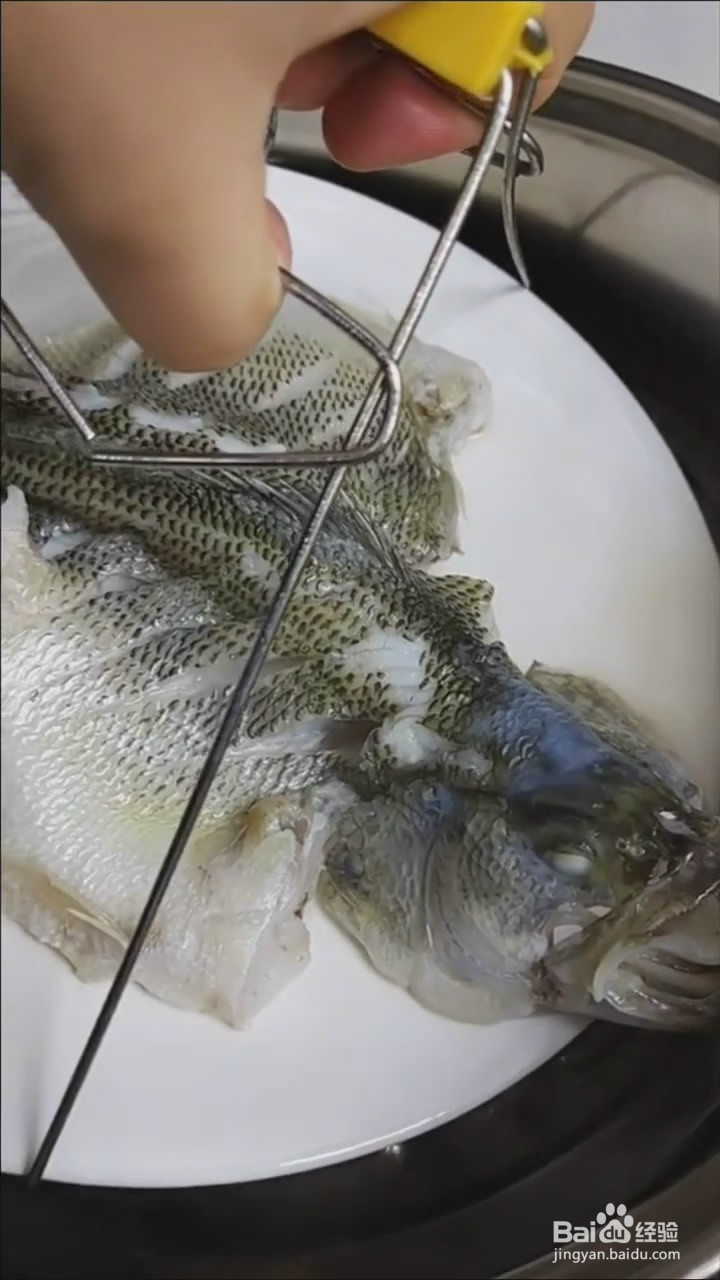如何制作清蒸鲈鱼